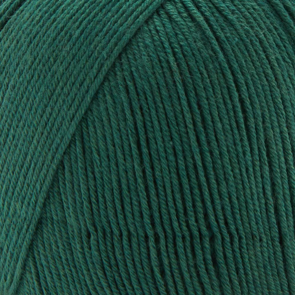 Premier Cotton Fair Yarn