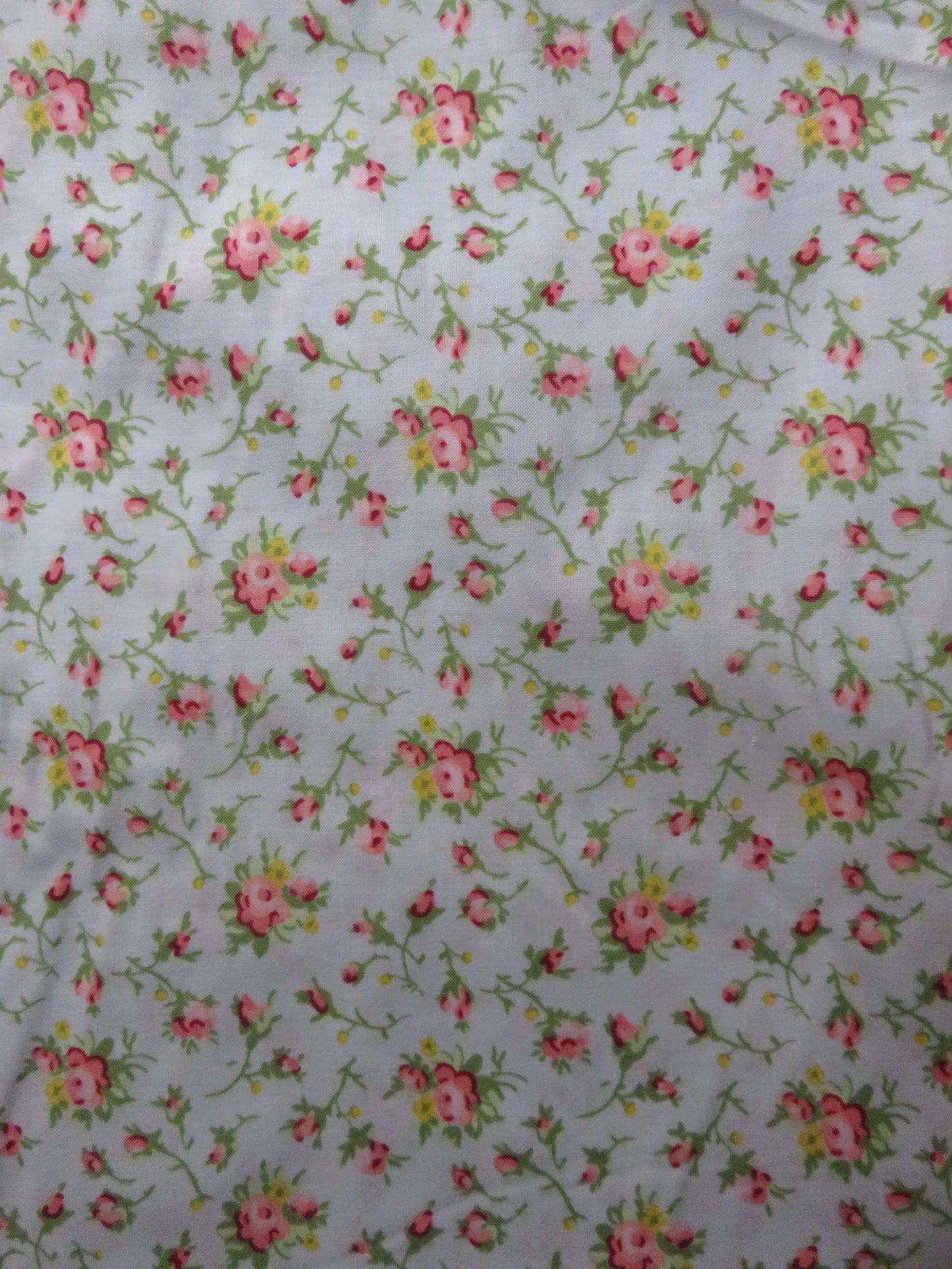 Cotton Fabric