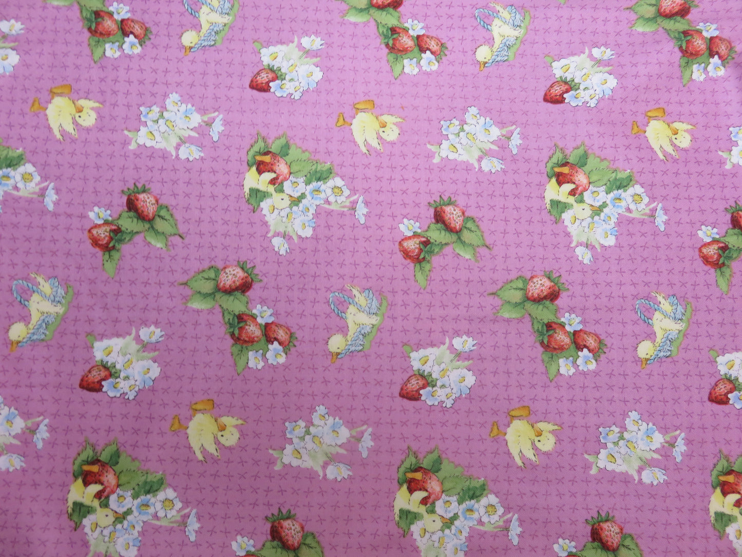 Cotton Fabric