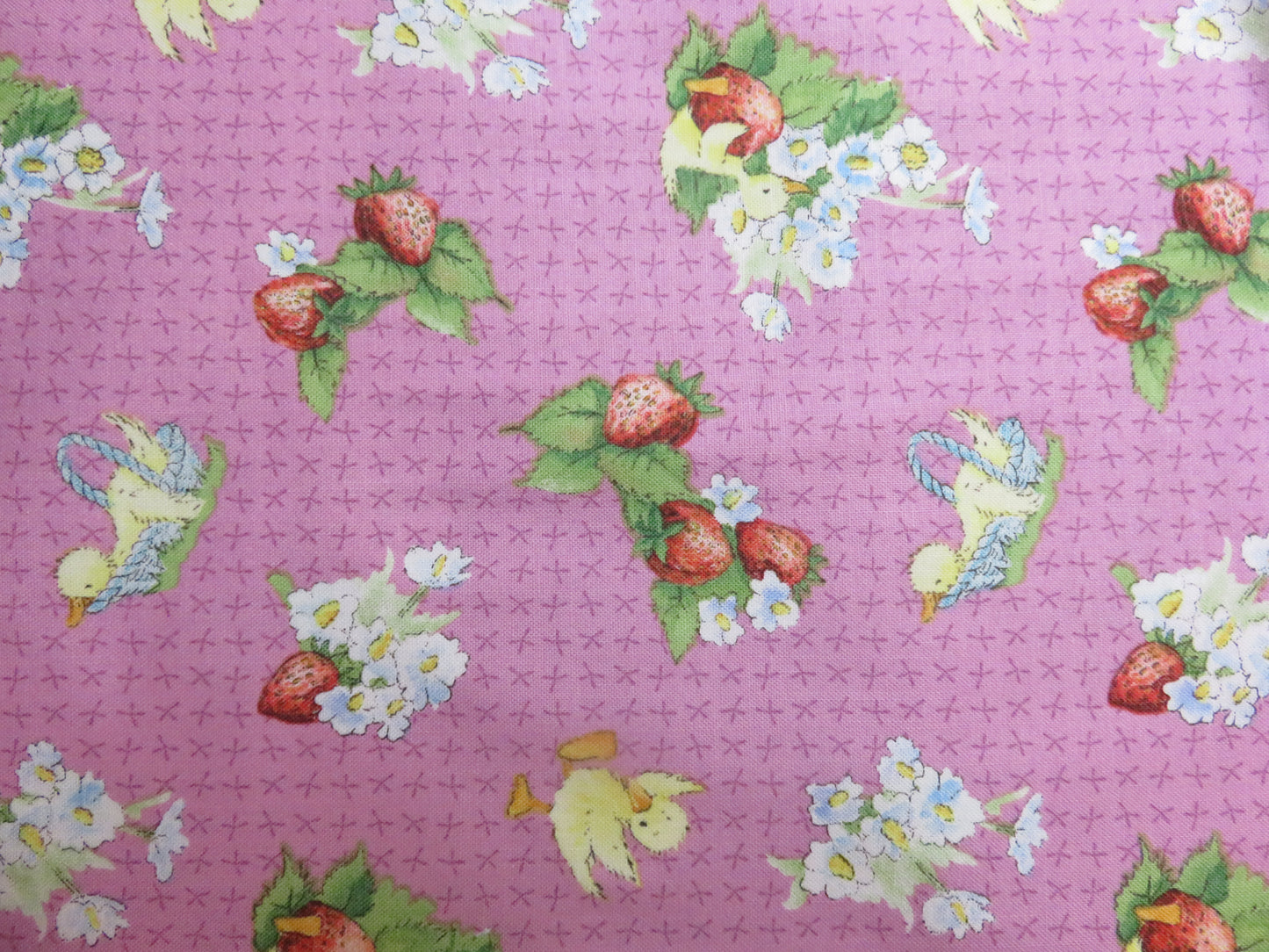 Cotton Fabric