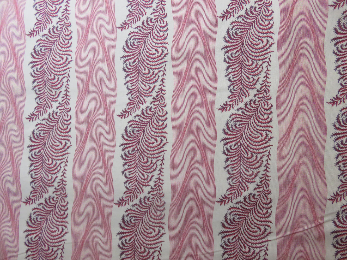 Cotton Fabric