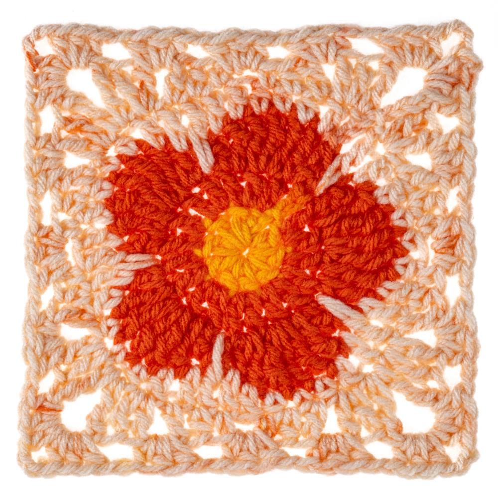 Red Heart All In One Granny Square Yarn