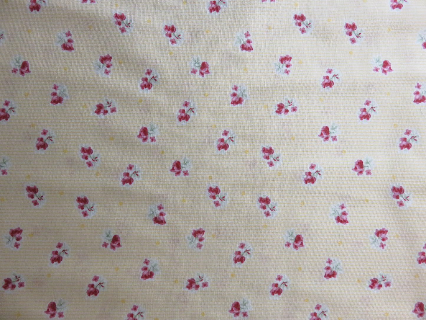 Cotton Fabric