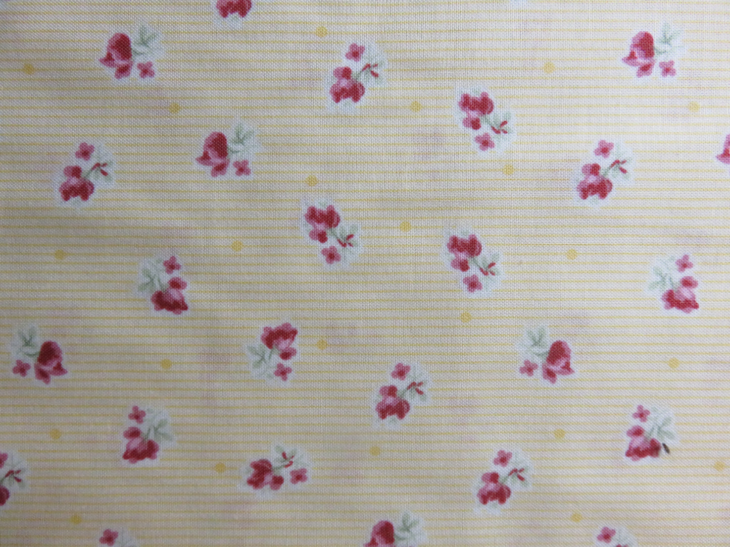 Cotton Fabric