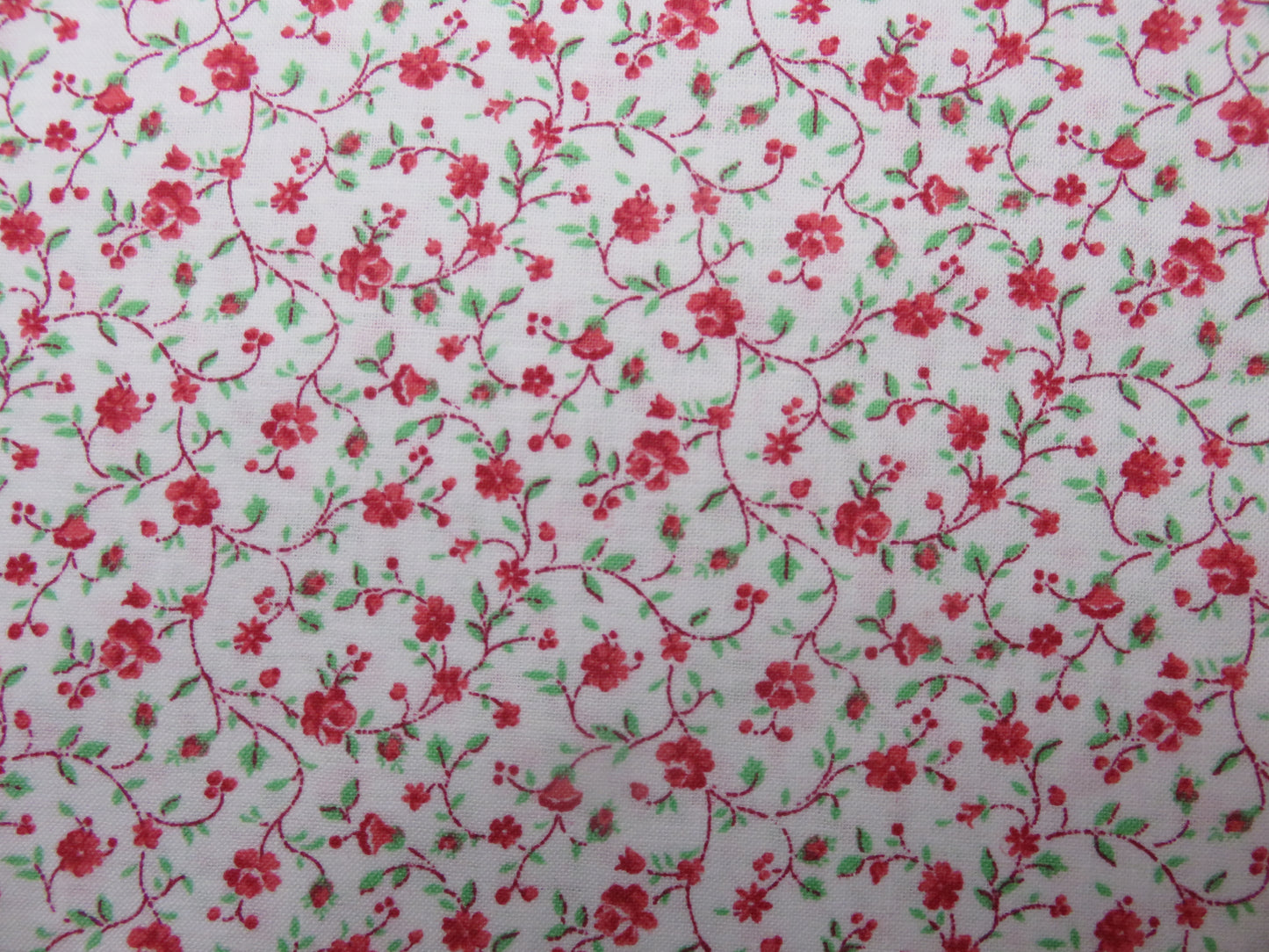 Cotton Fabric